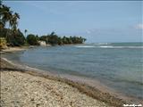 Guardarraya Beach - PATILLAS
